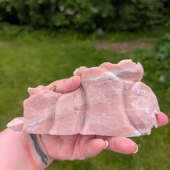 Pink opal fox - Picture 4 of 4